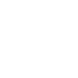 Isotipo de La Nave Nodriza